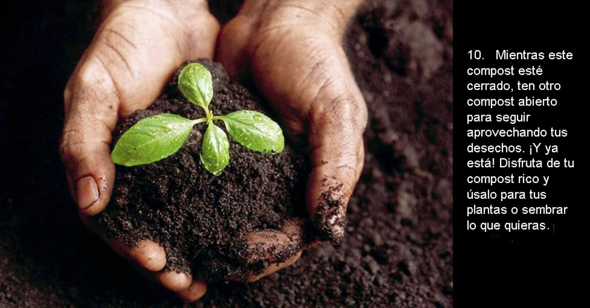 Hacer compost en casa: qué cosas tener en cuenta durante el verano