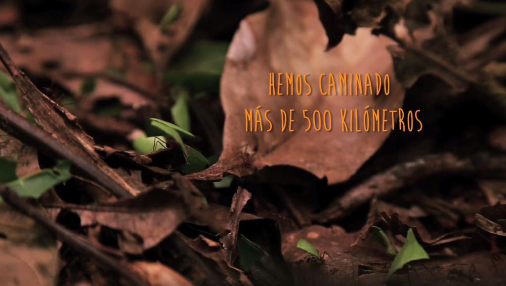 Captura de pantalla 2015-09-02 a la(s) 15.43.59