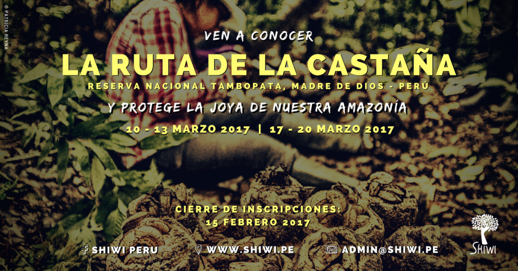 Ruta de la Castaña - Shiwi