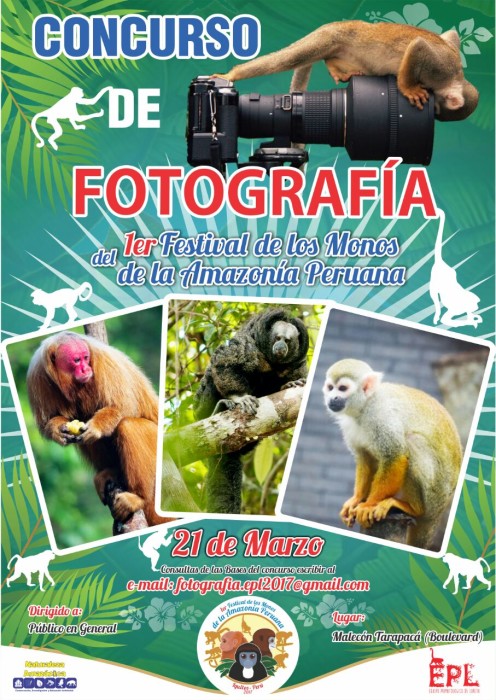 Festival-monos-Amazonia-Peruana (2)