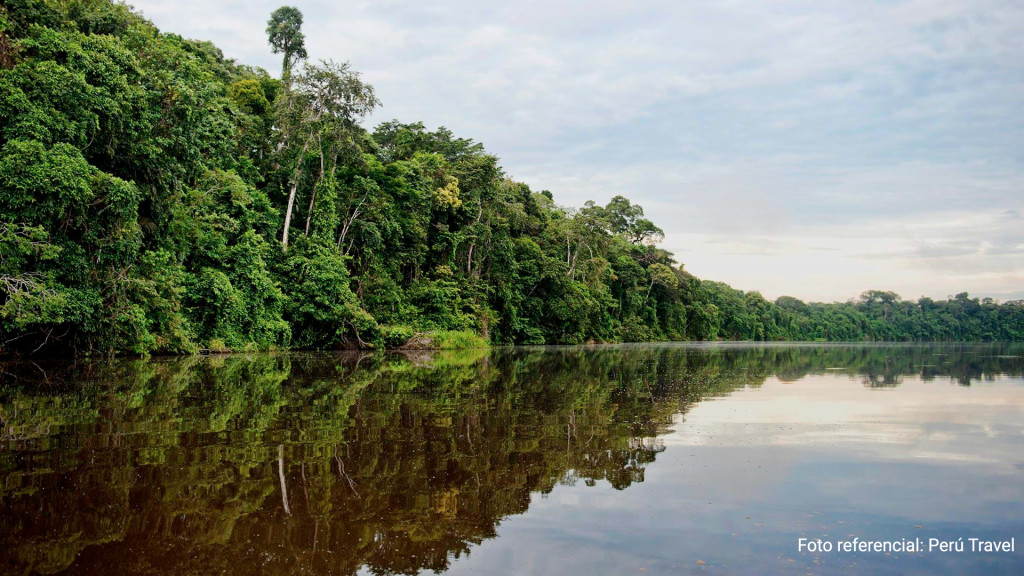 Tambopata