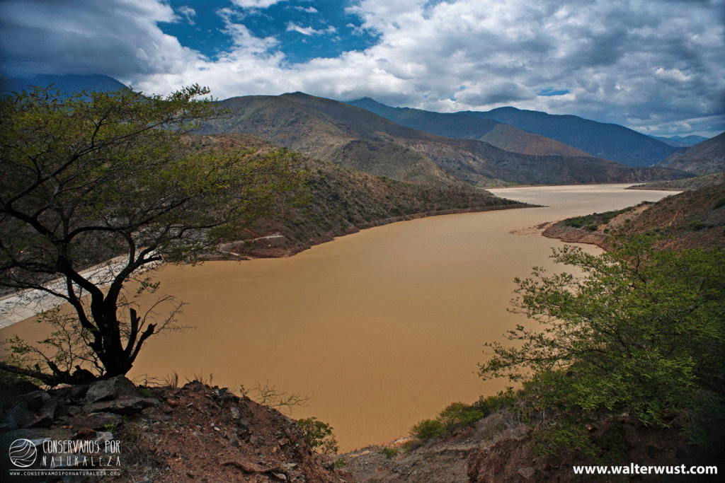 Iguahuana