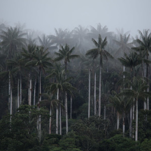 MOLINOPAMPA