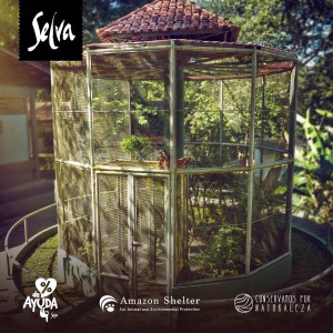 selva