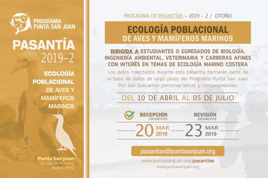 OportunidaDES_7MAR