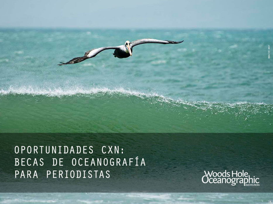 oportunidades_5MAR