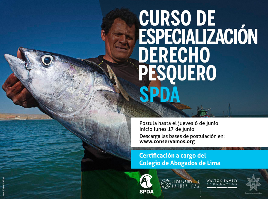 flyer-curso-marino_2019_1