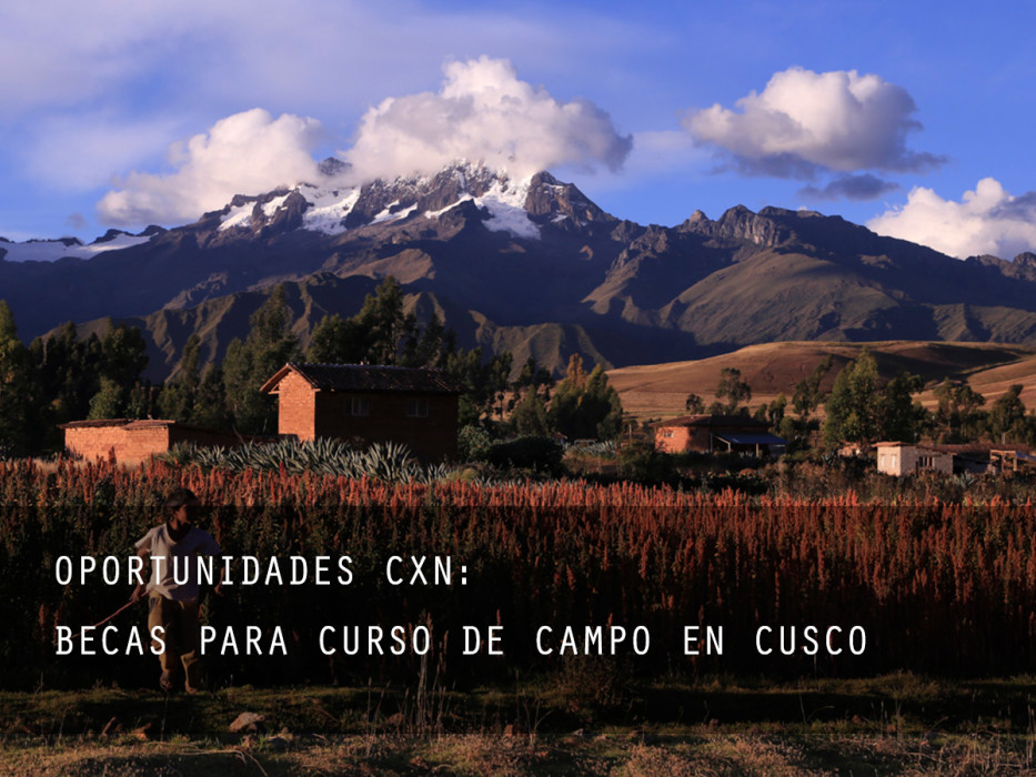 oportunidades web 1405