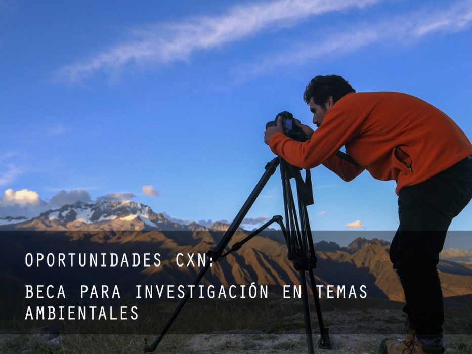 plantilla_oportunidades_Web