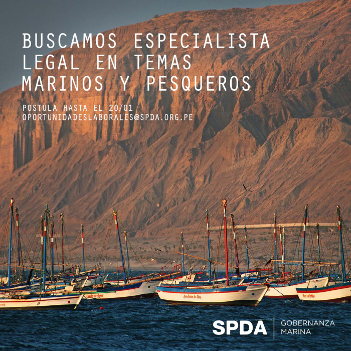 especialista-legal-spda