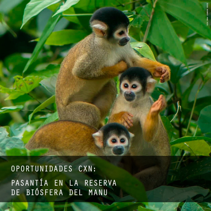 pasantia-reserva-manu