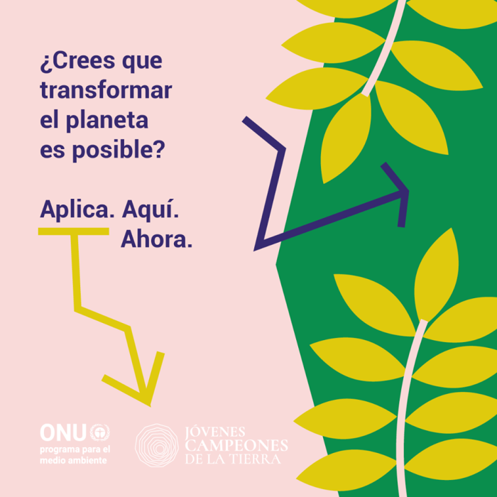 ONU-ambiente
