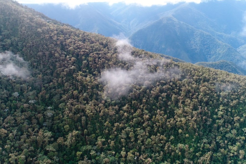 la-niebla-andina