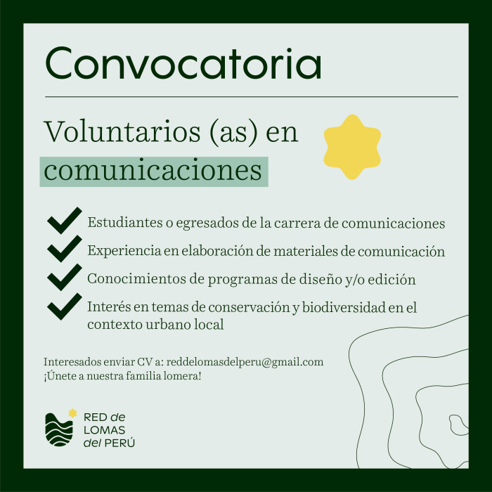 Flyer-convocatoria