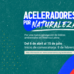 BannerWeb