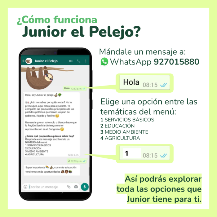 pasos