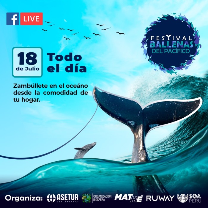 Festival Ballenas del Pacífico