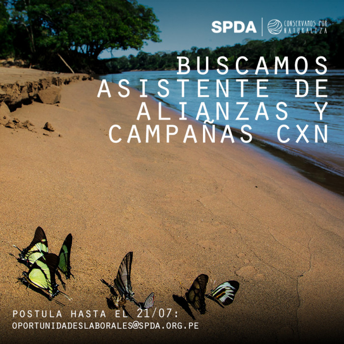 oportunidades-cxn_alianzas
