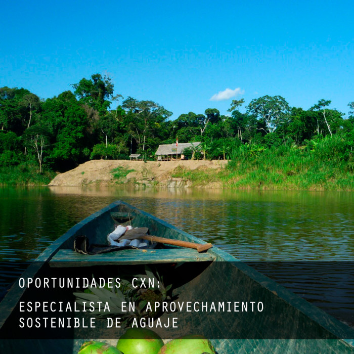 plantilla_oportunidades_IG