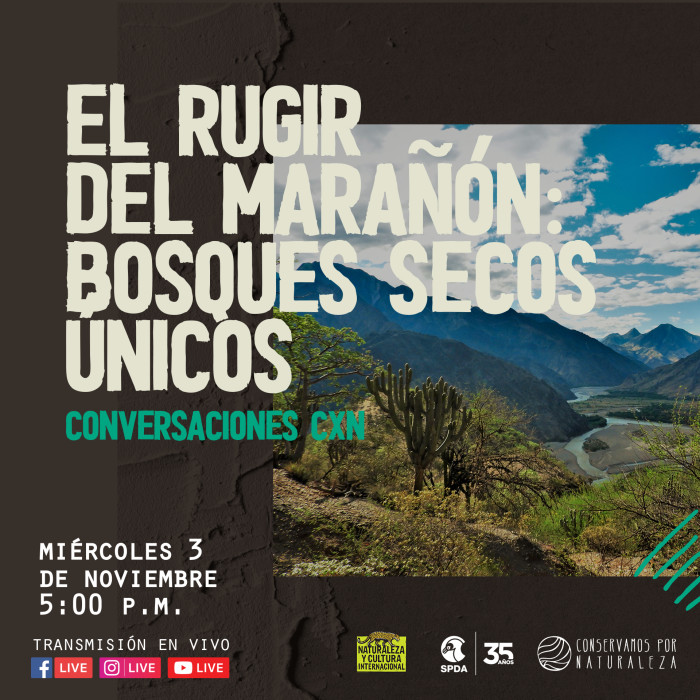 Post_Conversacionesv2_01