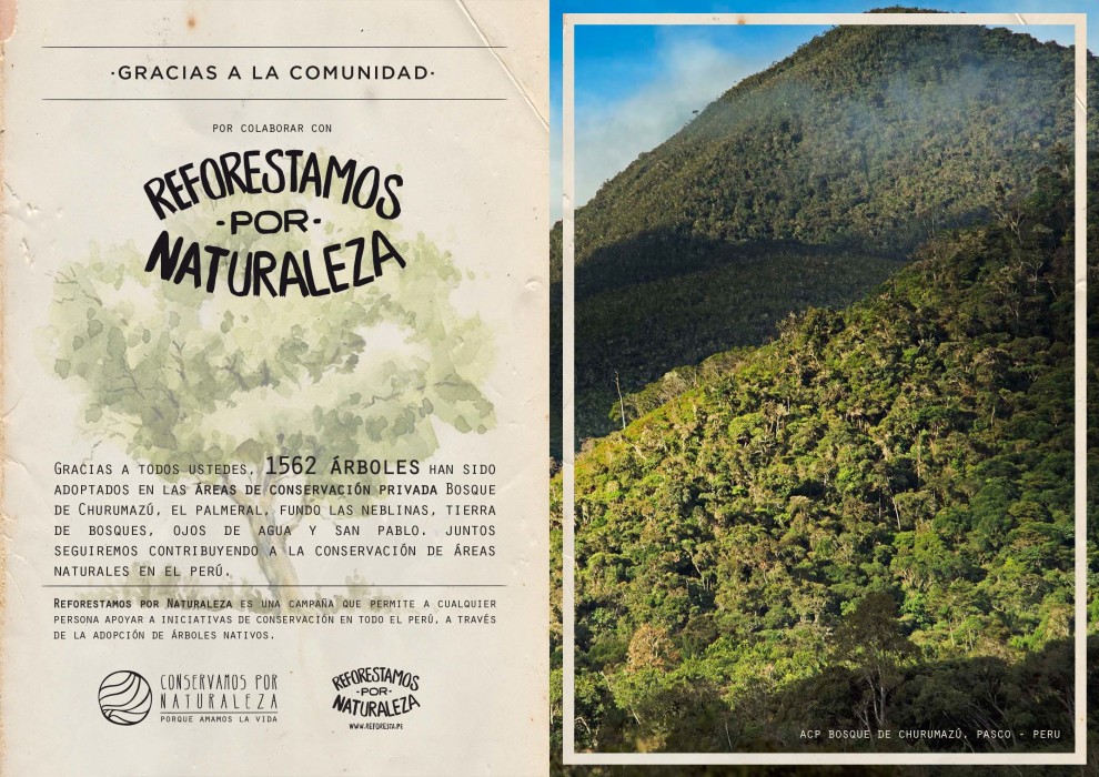 reforestamos-2021