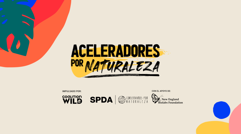 aceleradores-2021