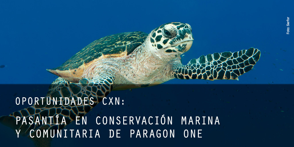 pasantia-conservacion-marina