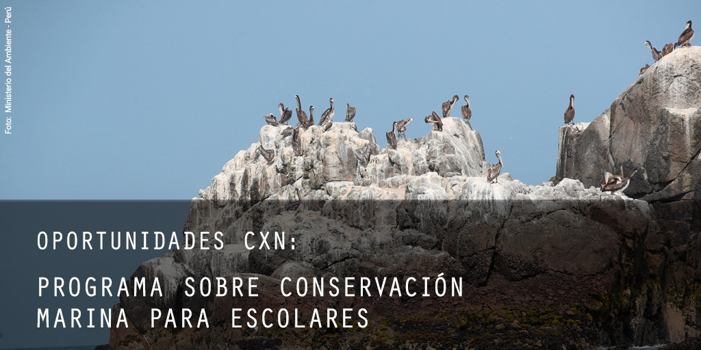 oportunidades-conservacion-marina