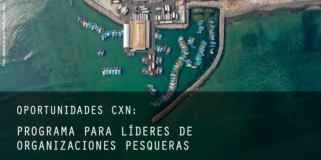 programa-para-lideres-pesqueros