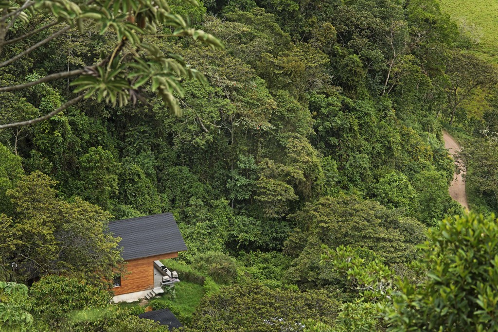 Bosque de Churumazú