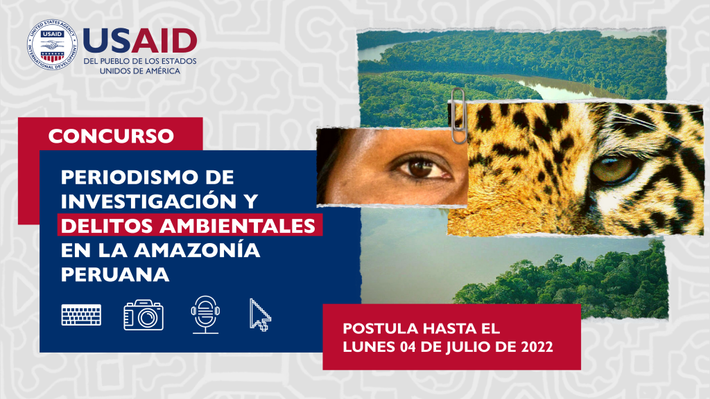 3. USAID - Twitter Horizontal Concurso 2022