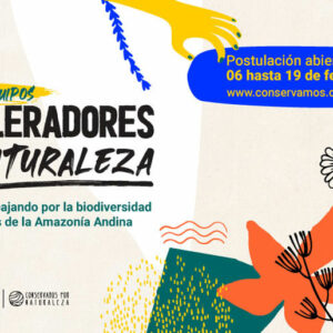 flyer-vf