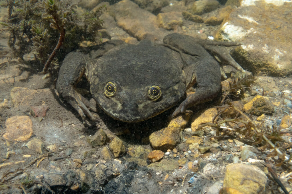 Foto: Roberto Elías