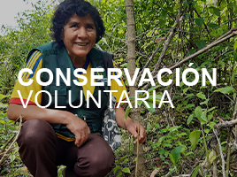 Conservacion Voluntaria